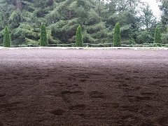 horse arena image 2