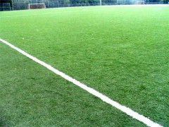 soccer field image